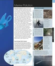 Ocean. The Definitive Visual Guide - мініатюра 9