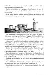 The Slow Regard of Silent Things. The Kingkiller Chronicle Novella - мініатюра 5