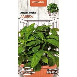 Насіння Кавове дерево Арабіка Насіння України кімнатне 1 г (746300)
