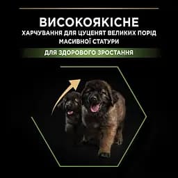 Сухий корм для цуценят великих порід Purina Pro Plan Large Robust Puppy, з куркою, 12 кг (12375805) - мініатюра 5