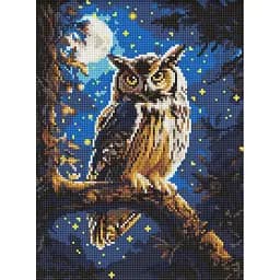 Алмазна мозаїка Нічна сова AMO8160, 30x40 см