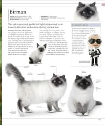 The Cat Encyclopedia - мініатюра 13
