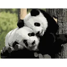 Картина по номерам Панды Инь-Янь 40х50 см 11606-AC