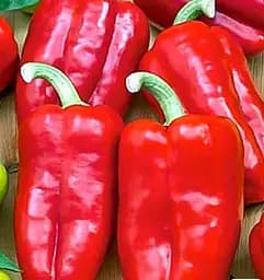 Семена Весна на развес Перец Кавалер цена за 1 г (183853)