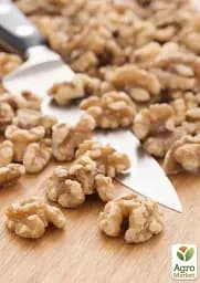 Саджанець Agro-Market Волоський горіх щеплений Chandler (селекція США середньостиглий термін дозрівання) 1 шт. в упаковці (42983) - мініатюра 3