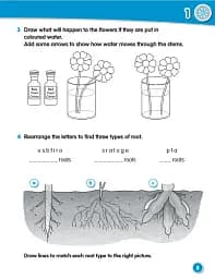Macmillan Science. Level 3. Workbook - мініатюра 4
