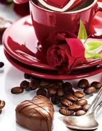 Альбом UFO PP-46200 Chocolate 10x15x200см (PP-46200 Chocolate)