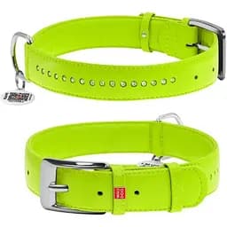 Нашийник для собак Waudog Glamour шкіряний з QR паспортом, подвійний зі стразами, S, Ш 20 мм, Дов 30-39 см (4823089318370)