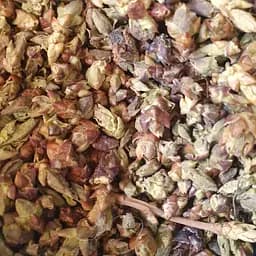 100 г сирень обыкновенная почки сушеные - свежий урожай