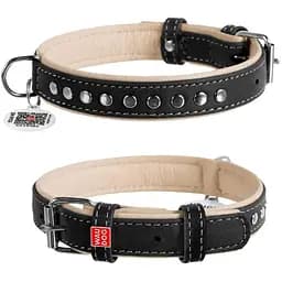 Нашийник для собак Waudog Soft шкіряний з QR паспортом, металеві прикраси, S, Ш 20 мм, Дов 30-39 см (4820152561909)