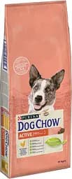 Сухий корм для дорослих активних собак Purina Dog Chow Active Adult зі смаком курки 14 кг (7613034487933)
