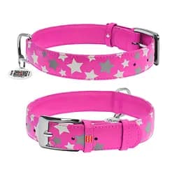 Нашийник для собак шкіряний Waudog Glamour з QR-паспортом візерунок "Зірочка" світлонакопичувальний/світловідбивний XL Ш 35