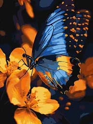 Набір для розпису по номерах Мерехтіння крил, Ideyka, 30x40 см, КНО6731