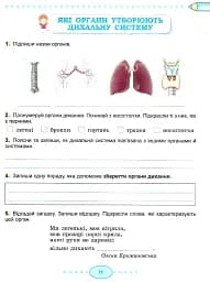 Я досліджую світ 3 клас. Робочий зошит. Частина 2 - мініатюра 2