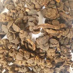 100 г петров крест/чешуйник корень сушеный - свежий урожай