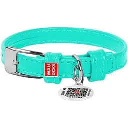 Нашийник для собак Waudog Glamour, шкіряний, з QR паспортом, 21-29х1,2 см, ментоловий