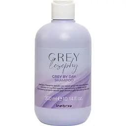 Шампунь тонуючий для натурального, сивого та блондованного волосся Inebrya Grey By Day Shampoo 300 мл