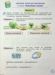 Твої досягнення. Українська мова. 2 клас. Тематичні діагностувальні роботи - мініатюра 9