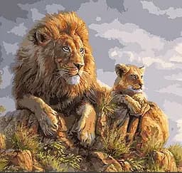 Картина по номерам 40х40 KpNe-02 Danko Toys PAINTING BY NUMBERS Вид 6