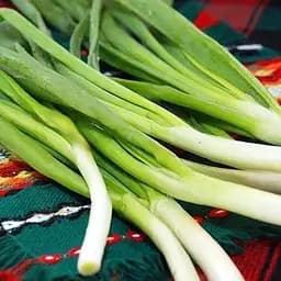 Цибуля на зелень "Зелена пір'їнка" (у банці) ТМ "Весна Органік" 6г (45413)