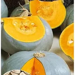 Насіння Весна на вагу Гарбуз Кримський делікатес ціна за 10 г (49381)