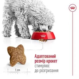 Сухий корм Royal Canin Mini Adult для дорослих собак, з м'ясом птиці, 0,8 кг - мініатюра 3