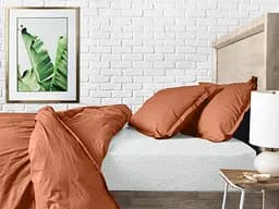 Комплект постільної білизни Cosas Amber CS4 Полуторний теракотовий (Ranfors_Terrakot_DotsGrey_160) - мініатюра 2