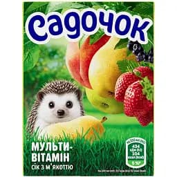 Сок Садочок Мультивитамин с мякотью 200 мл (929201)