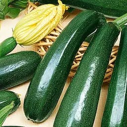 Кабачок Садиба Аеронавт 10 г (000022000) - мініатюра 3