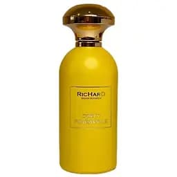 Парфюмерная вода Christian Richard Dirty Pineapple 100 мл