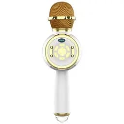 Караоке Мікрофон-колонка DS810 Gold - мініатюра 2