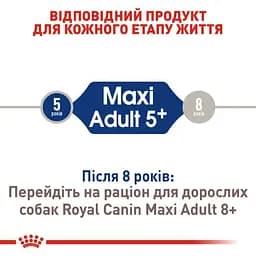 Сухий корм для собак великих порід старше 5 років Royal Canin Maxi Adult 5+, 4 кг (3008040) - мініатюра 7