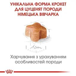 Сухий корм для цуценят породи Німецька вівчарка Royal Canin German Shepherd Puppy, 12 кг (25191201) - мініатюра 3