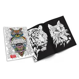 Раскраски Антистресс "Сова" Danko Toys RA-02-01U без фломастеров