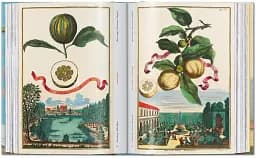 J. C. Volkamer. The Book of Citrus Fruits. 45th Edition - мініатюра 8