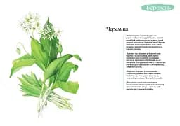 Кулінарний записник Весна - мініатюра 3