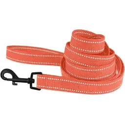Поводок для собак Barksi Сotton с карабином квадратное ушко 200x1.6 см оранжевый