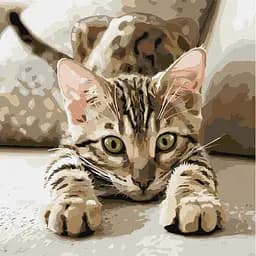 Картина по номерам "Игривый котенок" ©art_selena_ua Ideyka KHO6877, 40х40 см