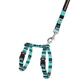 Шлея для котів та собак дрібних порід BronzeDog Urban Орнамент інки з нашивкою та повідцем XXS 15-23 см