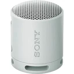 Портативная акустика Sony SRS-XB100 Grey (SRSXB100H.CE7) [104697]