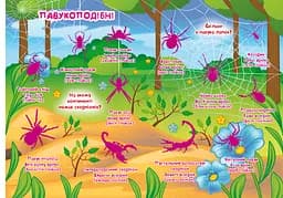 Велика книга Кристал Бук Розвиваючі наклейки + Розумні завдання Комахи та павукоподібні (F00021860) - мініатюра 3