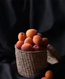 Саджанець Agro-Market Абрикос Буревісник (15762) 1 шт. в упаковці - мініатюра 3