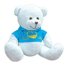 М'яка іграшка Ведмедик Патріот 19см