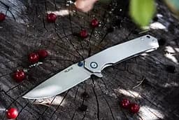 Ніж складаний Ruike P801-SF сріблястий - мініатюра 5