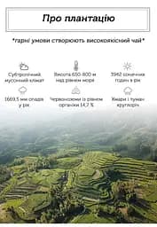 Бай Хао Інь Чжень Лі Да 2019 р. - 350 г - мініатюра 4