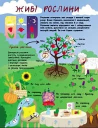 Таємне життя рослин - мініатюра 2