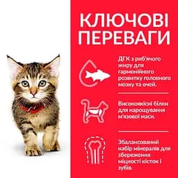 Сухий корм Hill's SP Kitten для котят та кішок у період вагітності та лактації з куркою 0.3 кг - мініатюра 2