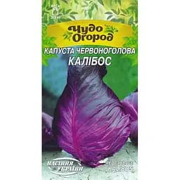 Семена Капуста красноголовая Насіння України Калибос (662600)