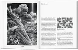 M.C. Escher. The Graphic Work - мініатюра 2