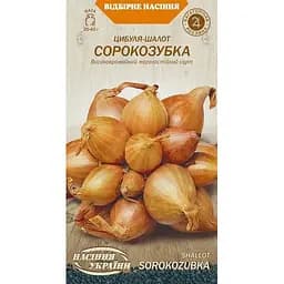 Насіння Цибуля-шалот Насіння України Сорокозубка 0.25 г (590900)